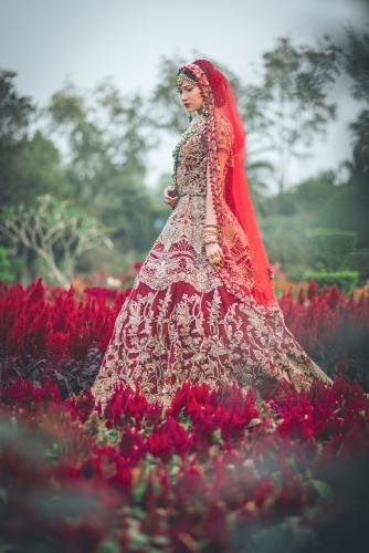 The Best Wedding Photography